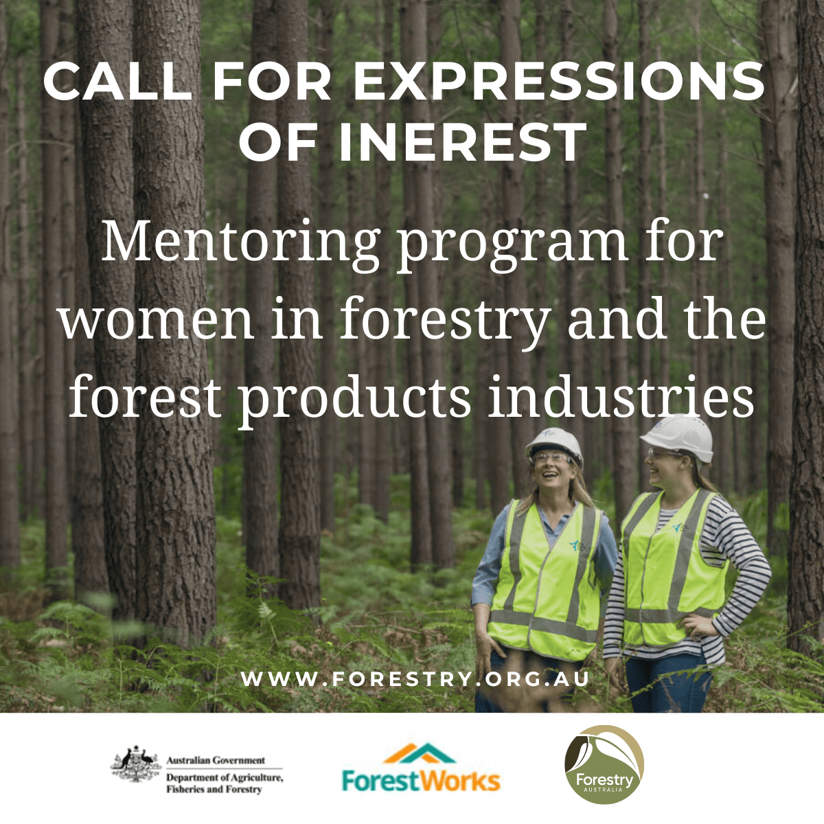 LinkedIn_MentoringWomen_CallforExpressionofInterest