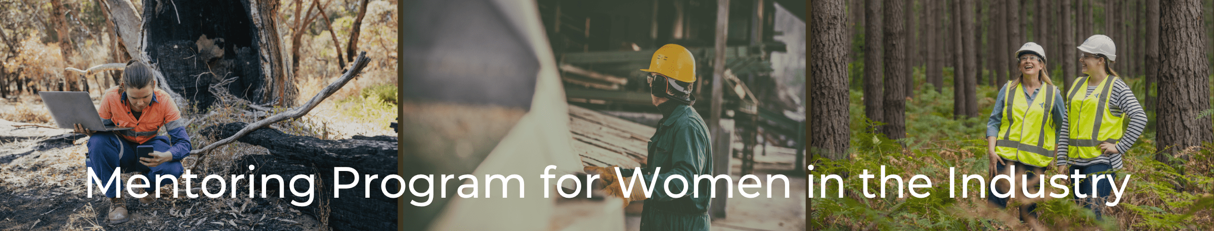 Women Mentoring website Banner (2400 x 458 px)