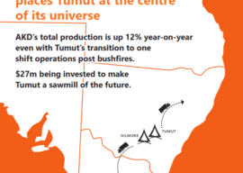 Tumut – the centre of Australia’s timber production universe